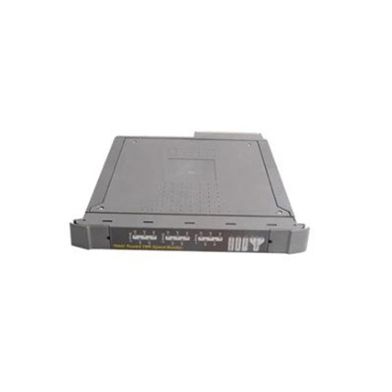 ICS Triplex T8086